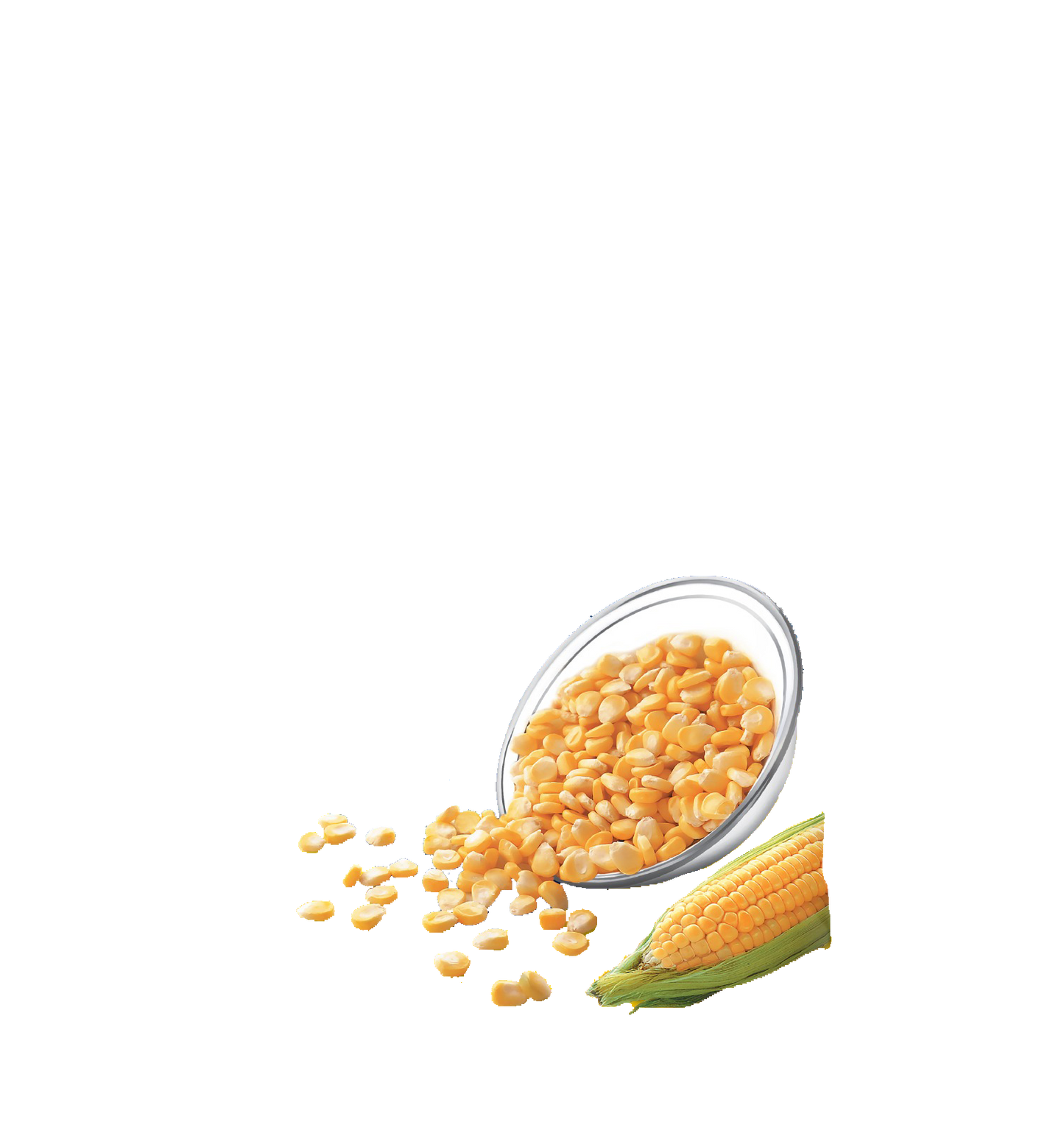 Sweet Corn